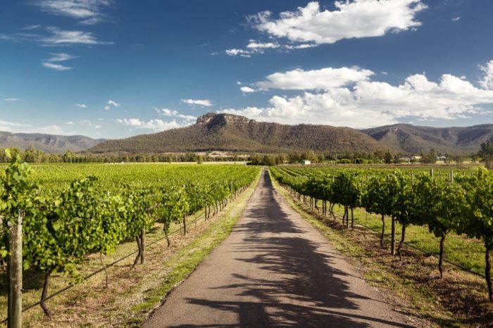 6 Hunter Valley wineries you should visit on...